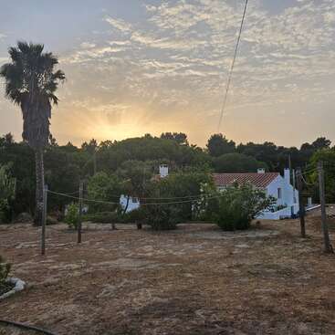 A serene sunset behind a forested area, with rays of sunlight. A white house with a red roof sits among trees, plants, and a palm tree.