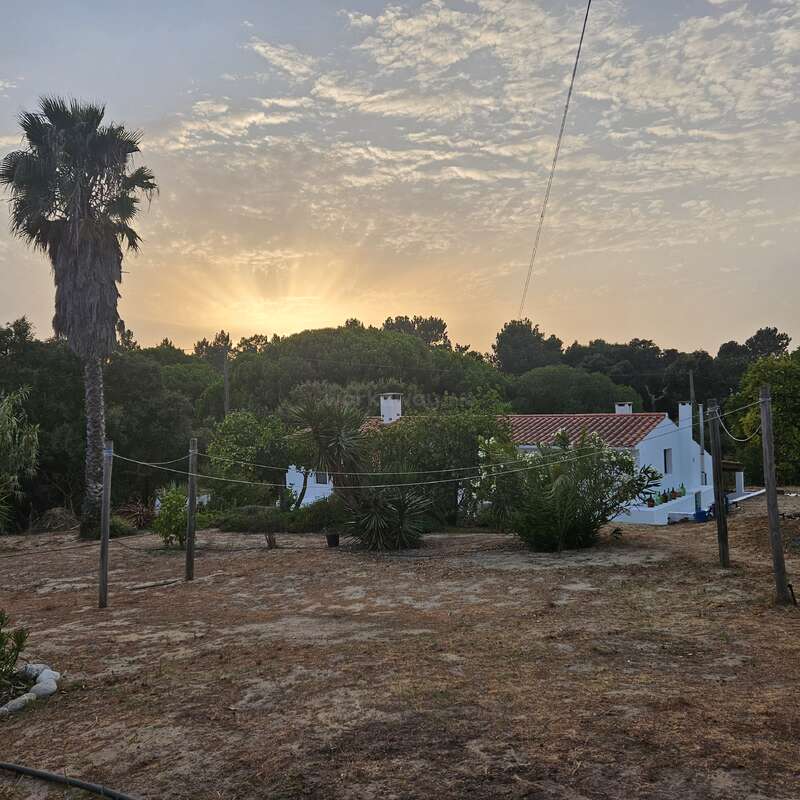 A serene sunset behind a forested area, with rays of sunlight. A white house with a red roof sits among trees, plants, and a palm tree.