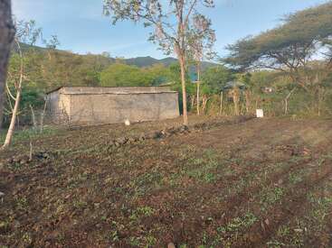 A small mud-walled structure stands beside a tilled field, surrounded by scattered trees, rocks, and greenery with hills in the distant background under a clear sky.