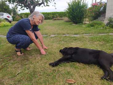 Uma mulher sorridente agacha-se na grama verde, estendendo a mão para um grande cachorro preto deitado de lado. Um jardim exuberante, árvores e um carro estacionado completam a cena pacífica.