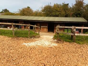 This image shows a rustic wooden stable with a metal roof, surrounded by greenery, wooden fencing, and a ground covered in wood chips and sawdust.