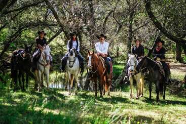 Five people, all wearing cowboy hats, are riding horses in a forest clearing by a pond. Sunlight filters through trees, creating a peaceful, rustic atmosphere.