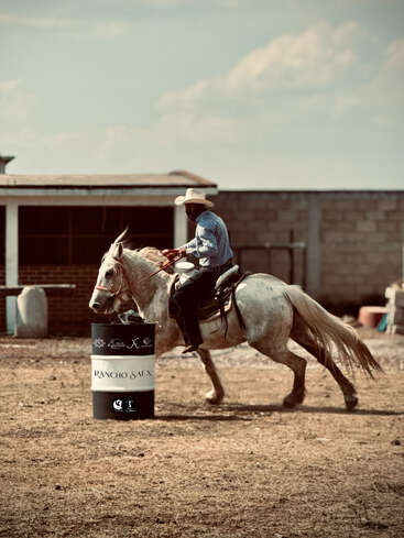 A cowboy in a hat rides a white horse around a branded barrel labeled “Rancho Saex” in a dusty arena with a building in the background.
