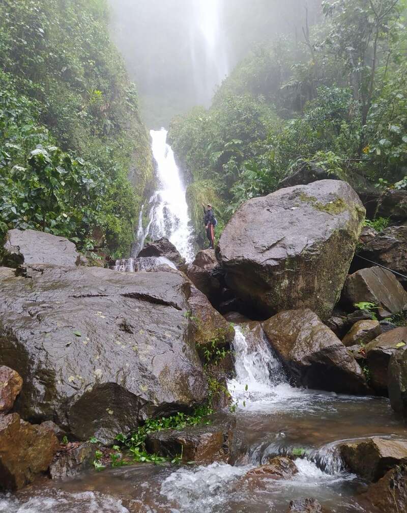 Une belle et haute cascade tombe sur des rochers verts et luxuriants, entourés d'une végétation dense. Une personne se tient sur un gros rocher, admirant la scène sereine.