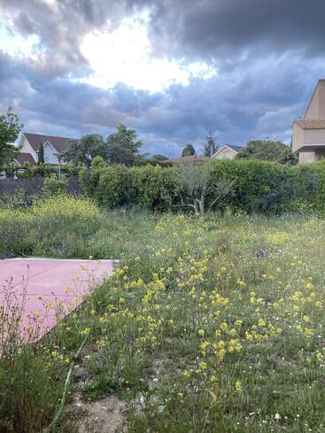Un exuberante jardín lleno de flores amarillas silvestres se encuentra bajo un espectacular cielo nublado. Las casas suburbanas y los árboles verdes bordean el tranquilo y frondoso jardín.