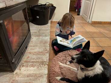 Un jeune enfant lit un livre assis par terre près d'une cheminée confortable, accompagné d'un chien noir et blanc qui se détend sur un lit moelleux.