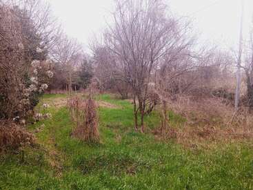 Un campo tranquilo, ligeramente cubierto de maleza, con hierba verde y árboles sin hojas dispersos. Los arbustos bordean los límites, lo que le da al paisaje un aspecto salvaje, virgen y natural.