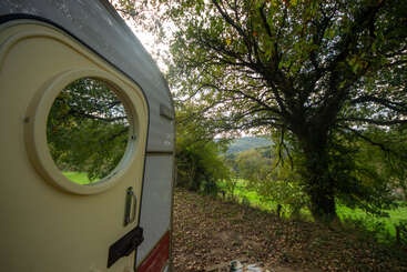 Una autocaravana con una ventana redonda está aparcada junto a una zona boscosa. La luz del sol se cuela entre los altos árboles, iluminando la hierba verde y las colinas lejanas. El ambiente es tranquilo y sereno.