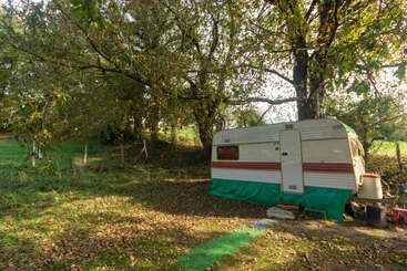 Una caravana vintage con detalles en rojo y verde está aparcada bajo unos árboles frondosos en un tranquilo claro del bosque bañado por el sol, rodeada de hojas caídas y hierba.