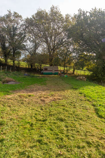 Una pequeña caravana de color beige descansa bajo unos altos árboles frondosos en un prado, rodeada de naturaleza y de material de acampada, con la luz del sol filtrándose a través de las ramas.