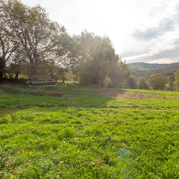 Eine sonnenbeschienene Wiese mit saftig grünem Gras und vereinzelten Bäumen, Hügeln im Hintergrund und einer ruhigen ländlichen Szenerie, die Frieden, Natur und Gelassenheit ausstrahlt.