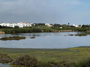 Una laguna tranquila salpicada de zonas verdes, con varias aves blancas posadas en el agua. Al fondo, las casas blancas y el cielo nublado completan esta escena de paz.
