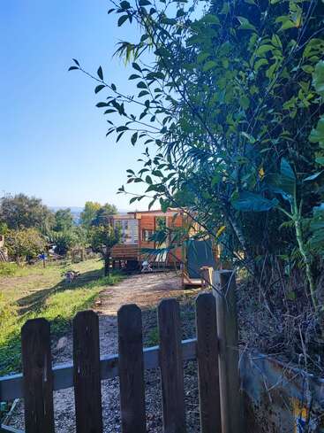 Una valla de madera se abre a un exuberante y verde jardín con una acogedora cabaña de madera. La luz del sol brilla, los árboles y las plantas florecen, creando una apacible escena campestre.