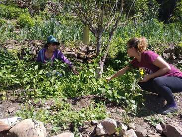 Zwei Frauen kümmern sich um Pflanzen in einem Garten, der von üppigem Grün und Felsen umgeben ist. Die eine Frau trägt einen Hut, die andere hockt sich hin.