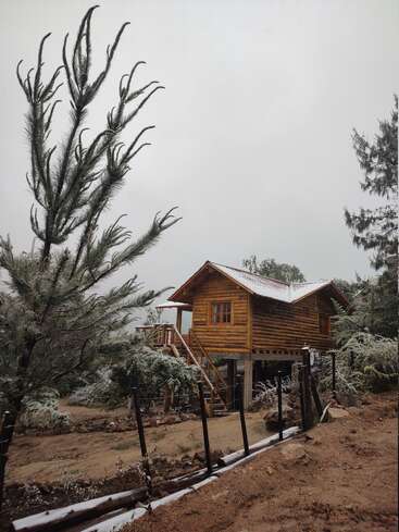 Eine gemütliche Holzhütte steht erhöht in einer verschneiten, bewaldeten Landschaft. Die schneebedeckten Bäume, die die Hütte umgeben, schaffen eine friedliche Winterwunderland-Atmosphäre.