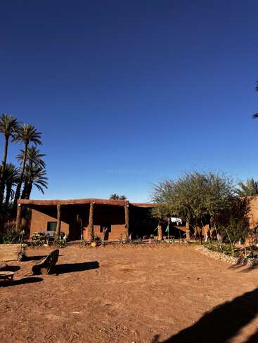 Ein rustikales Lehmgebäude steht unter einem strahlend blauen Himmel, umgeben von Palmen, Wüstenpflanzen und einfachen Sitzgelegenheiten im Freien in einem sonnenbeschienenen, trockenen Innenhof.