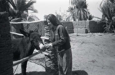 Eine Frau steht im Freien und lächelt, während sie einen Esel durch einen Holzzaun füttert. Palmen, Steinmauern und sandiger Boden schaffen eine rustikale, friedliche ländliche Umgebung.