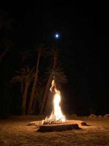 Ein warmes Lagerfeuer brennt hell in der Wüstennacht, umgeben von Palmen unter einem dunklen Himmel, der Mond scheint sanft über die Szene.