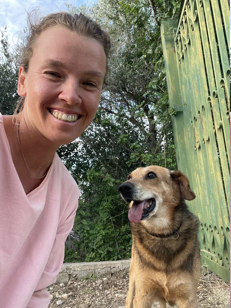 Help me look after my dogs and live in my home in Siracusa, Sicily, Italy