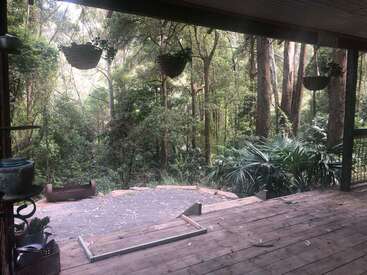 This image shows a wooden deck overlooking a lush, green forest. Hanging baskets, potted plants, and scattered leaves create a peaceful, natural, and inviting outdoor space.