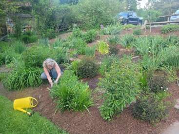 A person is kneeling in a lush, green garden, tending to plants. A yellow watering can lies nearby. Trees, bushes, and two vehicles are visible.