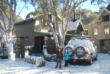 La imagen representa una serena escena de una casa con un gran patio, en el que hay una piscina y una valla, con el telón de fondo de un día soleado de cielo despejado y algunos árboles.