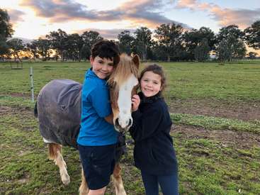 La imagen muestra a dos niños de pie en un campo cubierto de hierba, abrazados a un caballo marrón y blanco con una manta gris, con un sereno atardecer como telón de fondo.