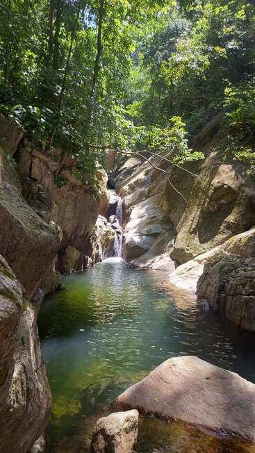 Ein ruhiger Wasserfall stürzt durch zerklüftete Felsen in einen klaren, grünen Pool, der von einem üppigen, sonnenbeschienenen Wald umgeben ist und ein ruhiges, natürliches Paradies inmitten der Natur darstellt.