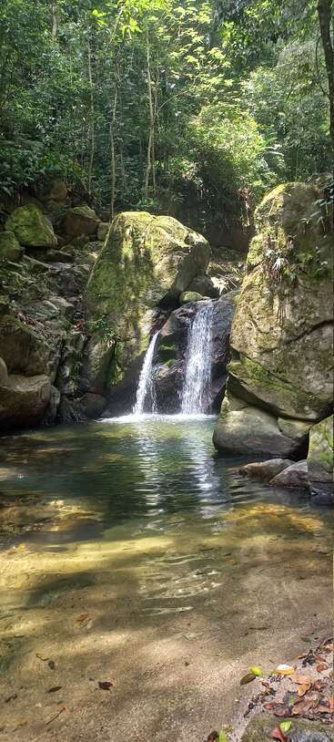 Eine ruhige Waldszene, in der das Sonnenlicht durch die Bäume fällt und einen kleinen doppelten Wasserfall zeigt, der zwischen moosbewachsenen Felsen in ein klares, ruhiges Becken fließt. Friedliche Natur.