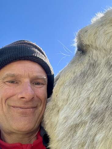 Un homme coiffé d'un bonnet noir et vêtu d'une veste rouge sourit joyeusement à côté d'un gros animal à fourrure, sous un ciel bleu limpide par une journée ensoleillée.