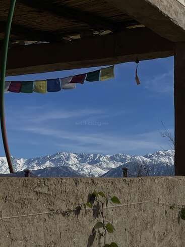 Eine rustikale Terrasse umrahmt schneebedeckte Berge unter einem klaren blauen Himmel. Bunte Gebetsfahnen wehen sanft im Wind, während eine Weinrebe im Sonnenlicht die Lehmwand emporrankt.