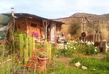 Uma cabana rústica de madeira com telhado de zinco fica no meio de flores coloridas, cactos verdes e grama alta. As montanhas e o céu azul formam o cenário de fundo.