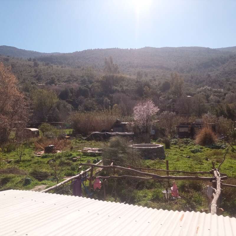 Essa imagem mostra uma paisagem rural tranquila com grama verde, árvores espalhadas, montanhas ao fundo, céu azul claro e uma cerca rústica de madeira na frente.