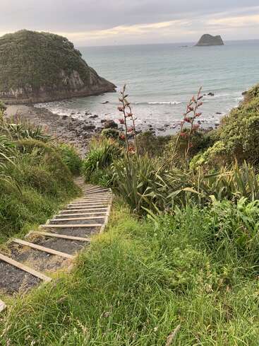 Wooden steps descend through lush green vegetation towards a rocky beach, with coastal cliffs, wildflowers, and small islands visible under a cloudy sky. Serene scene.