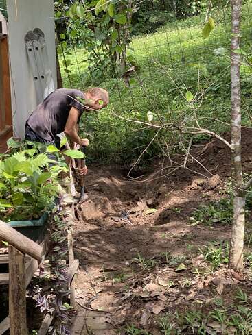 Uma pessoa está cavando em um jardim próximo a uma casa, cercada por uma vegetação exuberante, plantas, uma árvore e uma cerca de metal em um dia ensolarado.