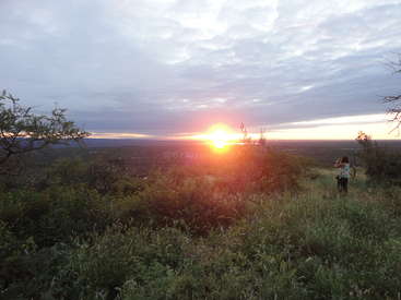 The image depicts a serene sunset scene, with a woman standing in a field of tall grass and shrubs, surrounded by a vast landscape under a cloudy sky.