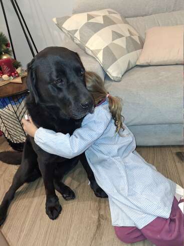 Un jeune enfant serre tendrement dans ses bras un grand chien noir, assis par terre à côté d'un canapé, créant ainsi un moment réconfortant, empreint d'affection et de douce complicité, dans la chaleur du foyer.
