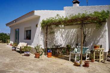 Ein charmantes weißes Haus mit Ziegeldach und schattiger Terrasse. Topfpflanzen, Bänke, Gartenmöbel und der strahlend blaue Himmel schaffen eine ruhige, einladende mediterrane Atmosphäre.