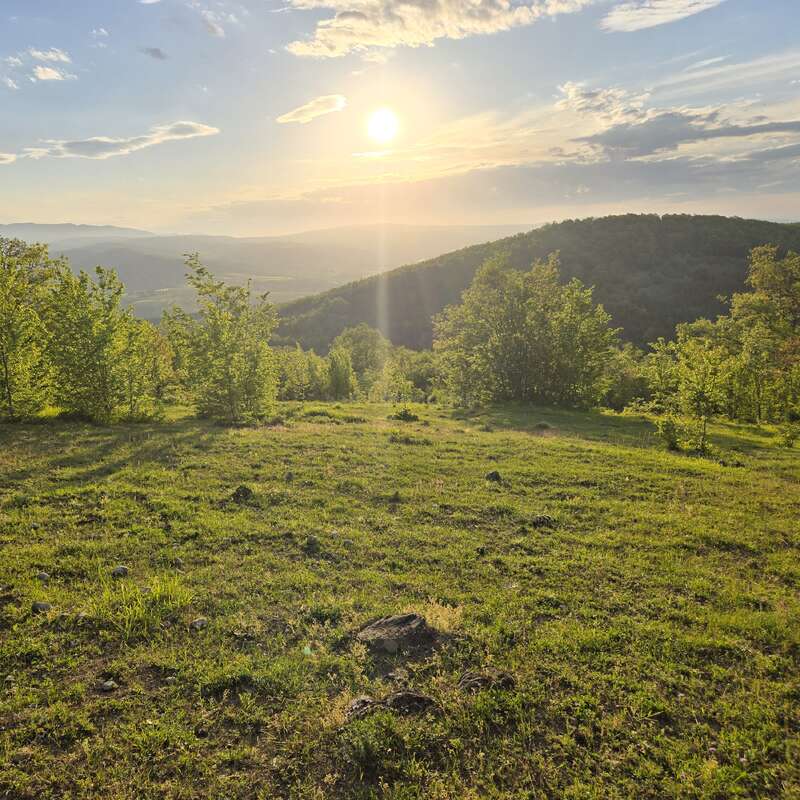 La imagen muestra un paisaje sereno con una exuberante hierba verde, árboles dispersos, colinas onduladas y el sol poniéndose en un cielo parcialmente nublado, que lo baña todo con una luz dorada.