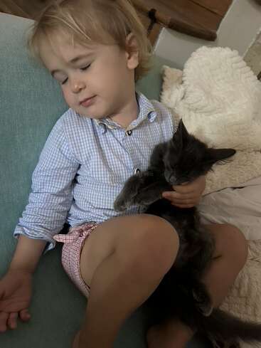 Un jeune enfant aux yeux fermés, vêtu d'un t-shirt bleu et d'un short rose, serre tendrement contre lui un chaton gris, assis sur un canapé moelleux, dans une atmosphère de sérénité.