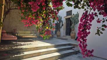 La lumière du soleil illumine une cour méditerranéenne où s'épanouissent des bougainvilliers roses, de grands cactus en pot, des marches en pierre et un coin salon extérieur chaleureux, adossé à des murs blanchis à la chaux et à des portes en fer forgé.
