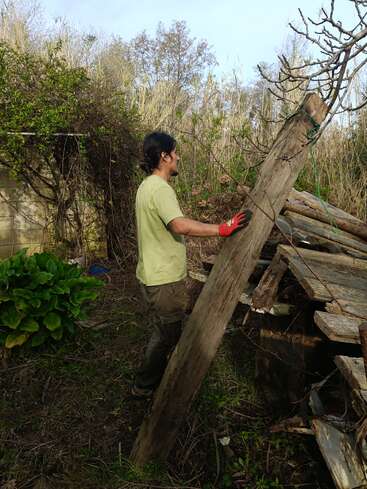 A person wearing red gloves and a light green shirt lifts a large wooden log outdoors, surrounded by overgrown vegetation, plants, and various stacked wooden debris.