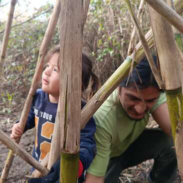 A young child and an adult build a bamboo structure in a forest, surrounded by greenery. The child looks curious while the adult concentrates, teamwork evident.
