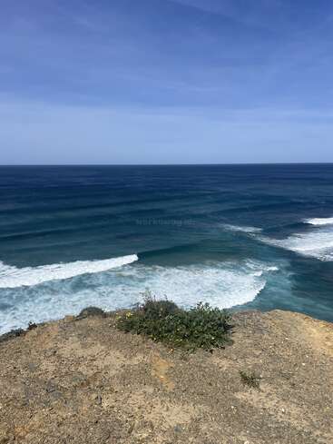 A rocky cliff overlooks a vast, blue ocean with gentle waves crashing below. The sky is clear and sunny, with a few small plants in front.
