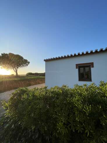 A peaceful countryside scene featuring a white house, lush green bushes, a lone tree, a gravel path, and a beautiful sunset illuminating the landscape.