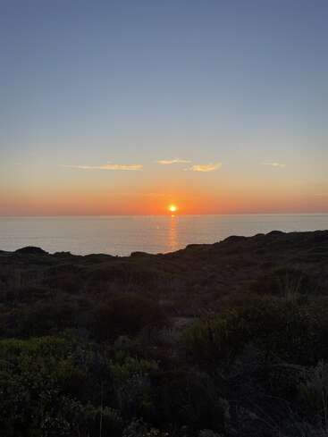 A breathtaking sunset over the ocean, casting warm orange and pink hues across the sky, with dark coastal vegetation silhouetted in the foreground, peaceful and serene.