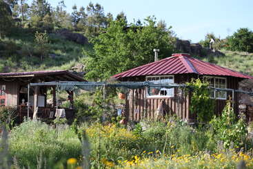 The image depicts a small wooden cabin with a red roof, situated in a lush garden or yard, surrounded by trees and a hill in the background.