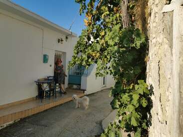 The image depicts a serene scene of a woman and her dog standing on the porch of a white house, surrounded by lush greenery and a clear blue sky.