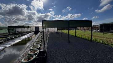 This image shows a shaded greenhouse structure in an agricultural area, with rows of water-filled containers and gravel paths under a bright, partly cloudy sky.