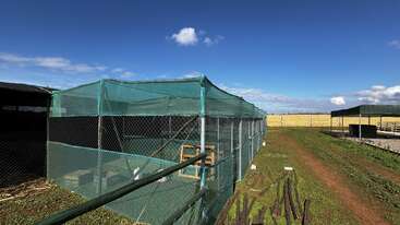 A green mesh enclosure stands on grassy ground under a bright blue sky. Fencing surrounds the structure, with paths and scattered wooden posts nearby. Peaceful atmosphere.